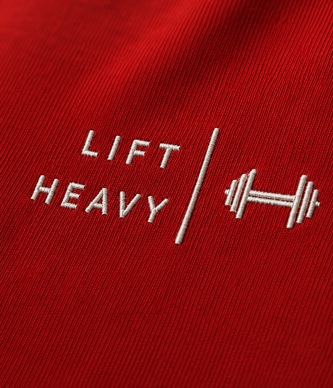 Lift Heavy Embroidered Regular Fit T-Shirt